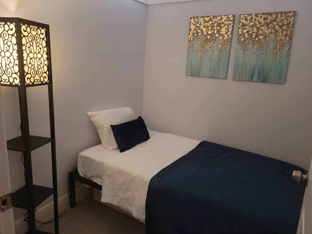 6hr Cellular Recharge Session w/ 30min Consultation + Before/After 32 Organ Energy Scan | Tampa, FL