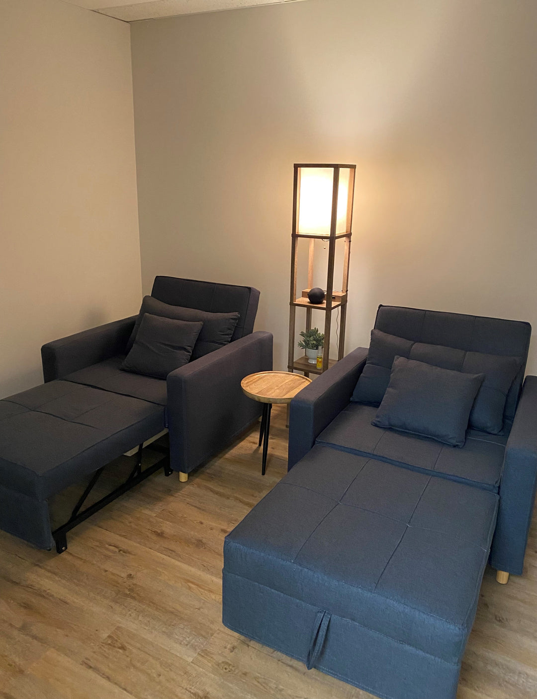 6hr Cellular Recharge Session w/ 30min Consultation + Before/After 32 Organ Energy Scan | Woburn, MA